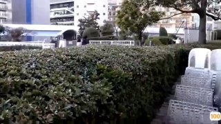 性感的拉丁女郎凯莉·奥利维拉回来